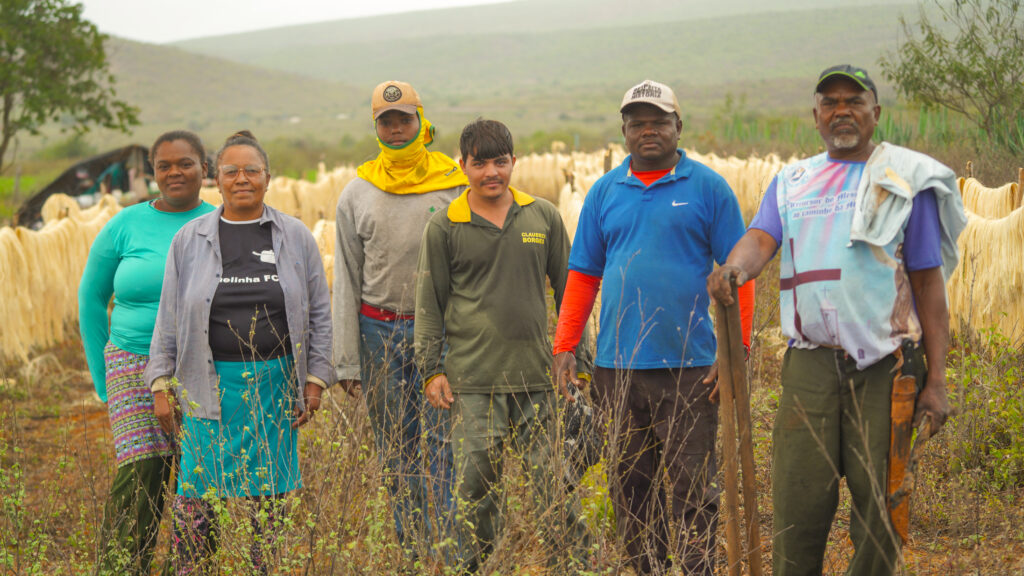 Com apoio à agricultura familiar, o processo de produção do biodiesel fortalece a inclusão produtiva de mulheres, impulsiona renda no campo e contribui para a agenda global de trabalho.