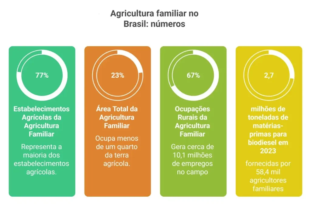 Infográfico destaca a importância da agricultura familiar no Brasil com dados sobre estabelecimentos, área cultivada, empregos rurais e produção de biodiesel. Mostra que a agricultura familiar é majoritária, gera milhões de empregos e contribui significativamente para o setor energético.