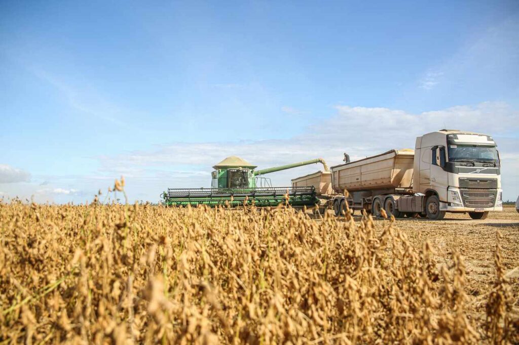 Cena agrícola mostra colheita de soja com máquina descarregando grãos em caminhão. Céu limpo e campo fértil indicam produção eficiente. A imagem destaca o papel da soja como matéria-prima essencial na cadeia produtiva sustentável de biodiesel.