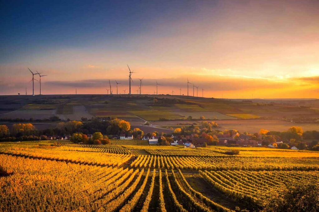 Colheitadeira opera à noite em lavoura extensa, iluminada artificialmente. A cena destaca a mecanização agrícola e os impactos ambientais do biodiesel.