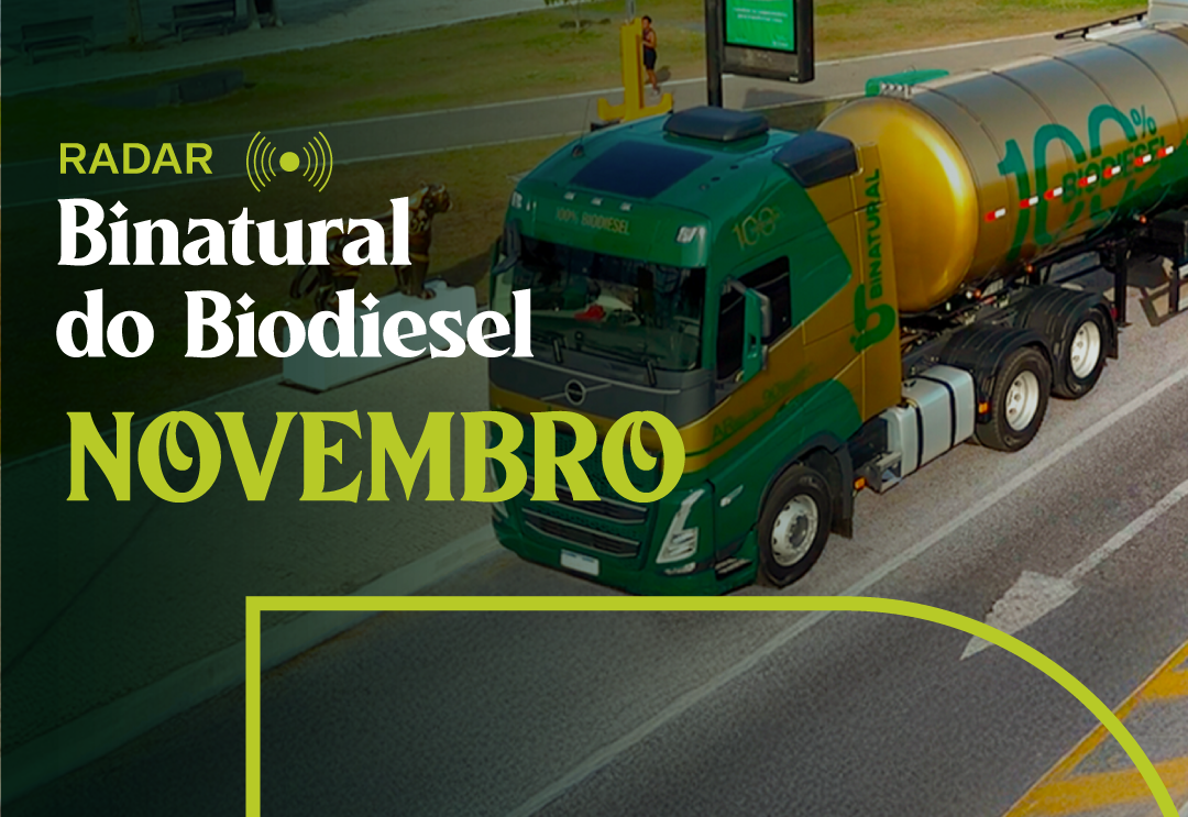 Edição de Novembro