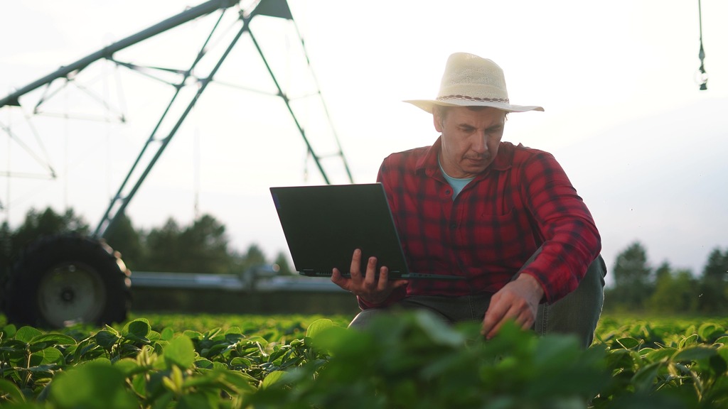 Biodiesel e agricultura familiar: desafios e impactos de uma integração estratégica