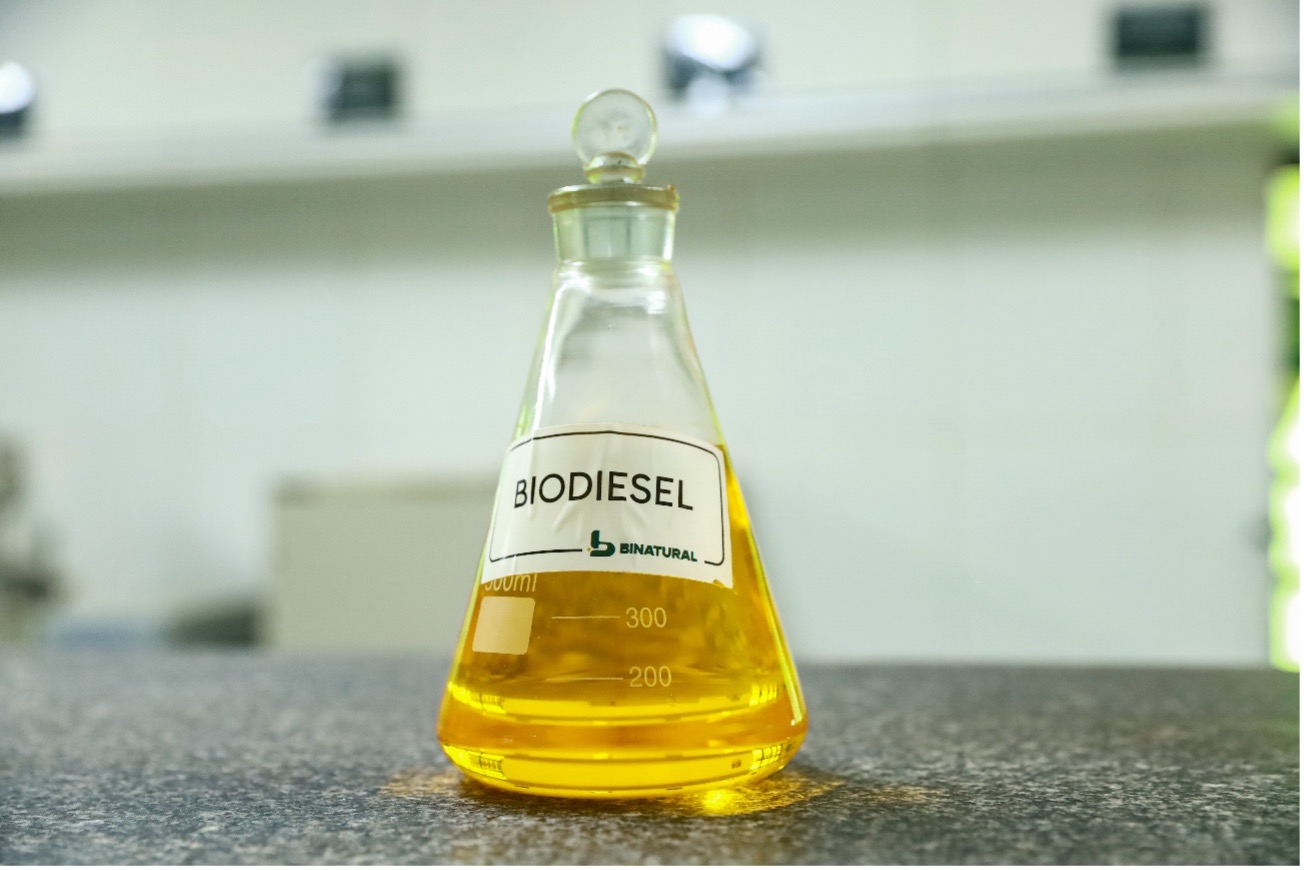 O que é biodiesel e como é produzido? Entenda o combustível renovável que impulsiona a transição energética