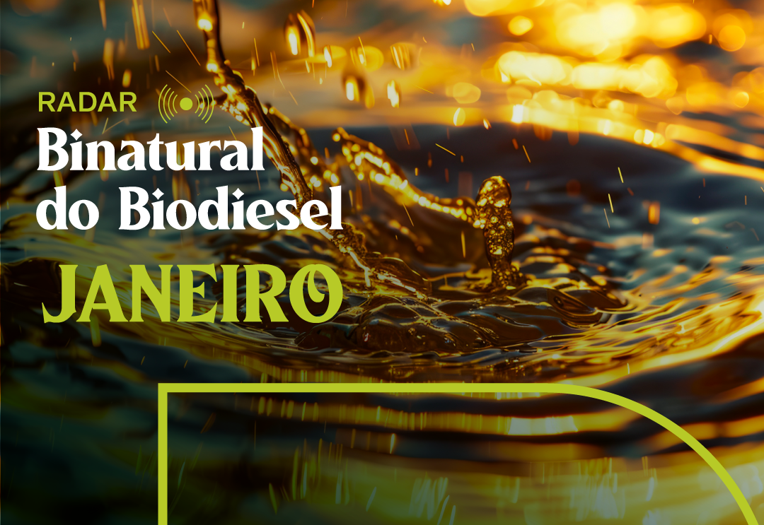 Edição de Janeiro de 2026