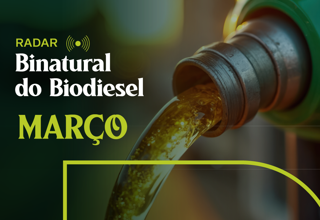 Edição de Março de 2026