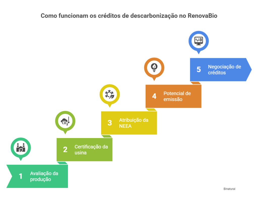 Infogr&aacute;fico colorido explica etapas do RenovaBio, destacando avalia&ccedil;&atilde;o, certifica&ccedil;&atilde;o, NEEA, emiss&otilde;es e negocia&ccedil;&atilde;o de cr&eacute;ditos de descarboniza&ccedil;&atilde;o.