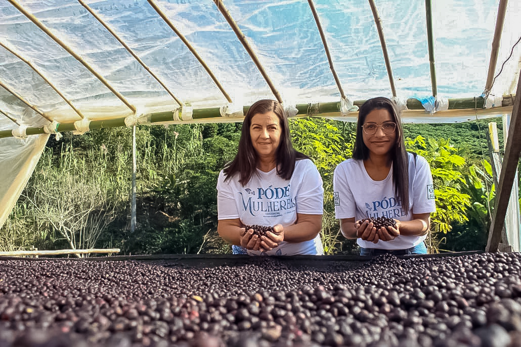Dia da Agricultura Familiar: Binatural planta mais de 600 árvores e fomenta empreendedorismo feminino entre produtoras rurais na Mata Atlântica