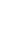&Iacute;cone